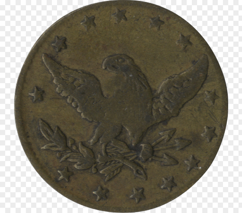 Medal Bronze Coin Fauna PNG