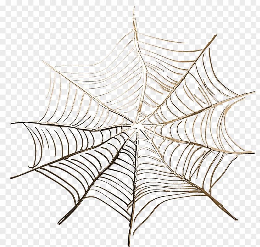 Spider Web Silk Clip Art PNG