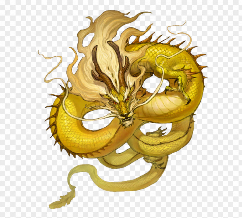 Avater Ribbon Chinese Dragon Yellow Mythology PNG