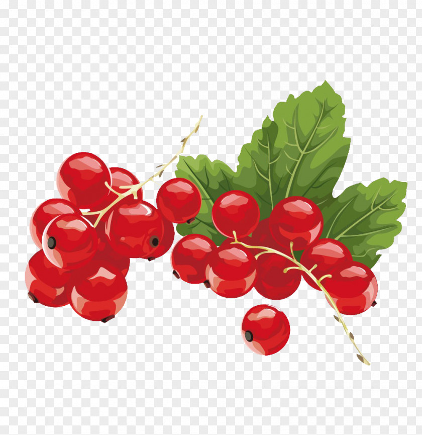 Cherry Juice Kissel Redcurrant Blackcurrant Berry PNG