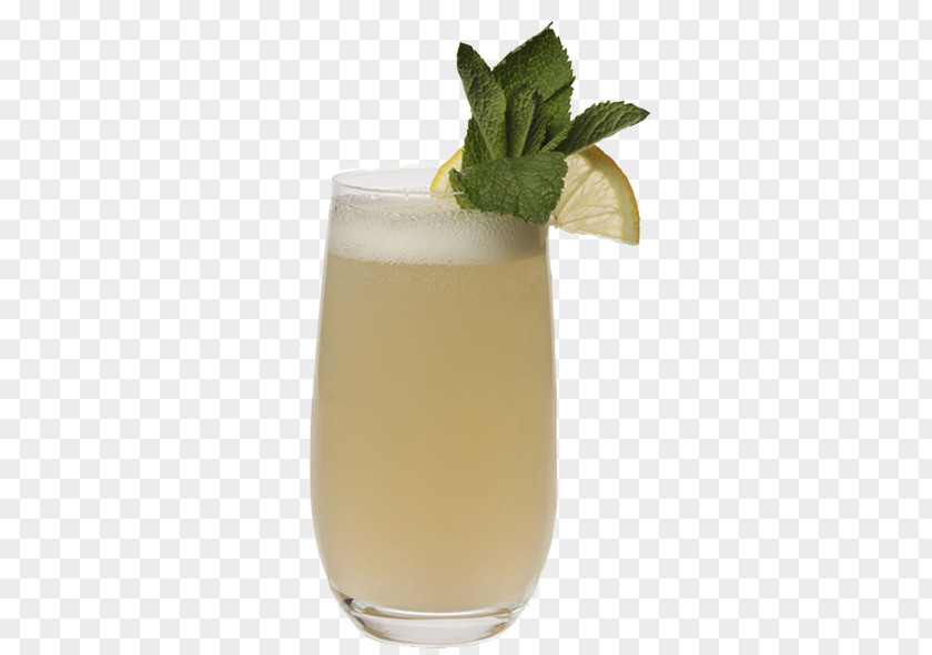 Cocktail Mai Tai Garnish Gin Fizz Elderflower Cordial PNG