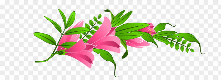 Flower Pink Flowers Fuchsia Clip Art PNG