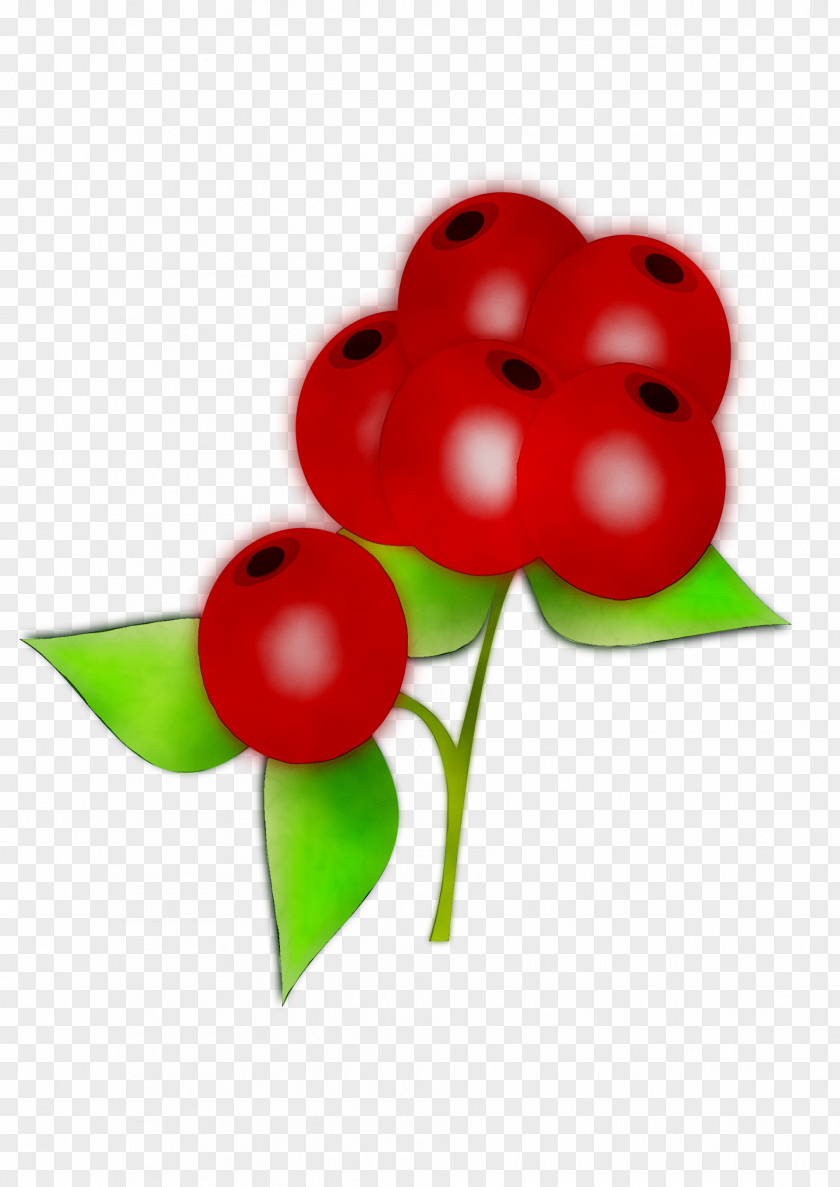 Fruit Flower Balloon RED.M PNG