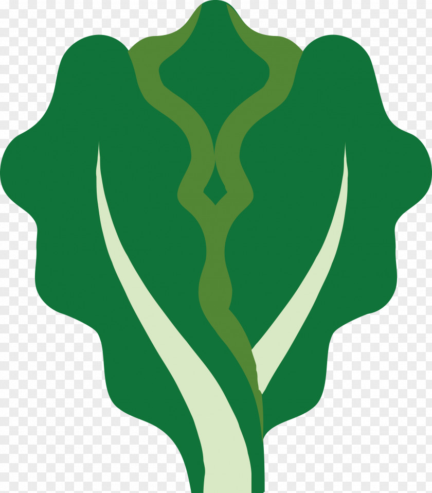 Lettuce PNG