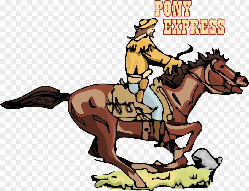 Mustang Pony Equestrian Rein Nebraska 150 Celebration PNG