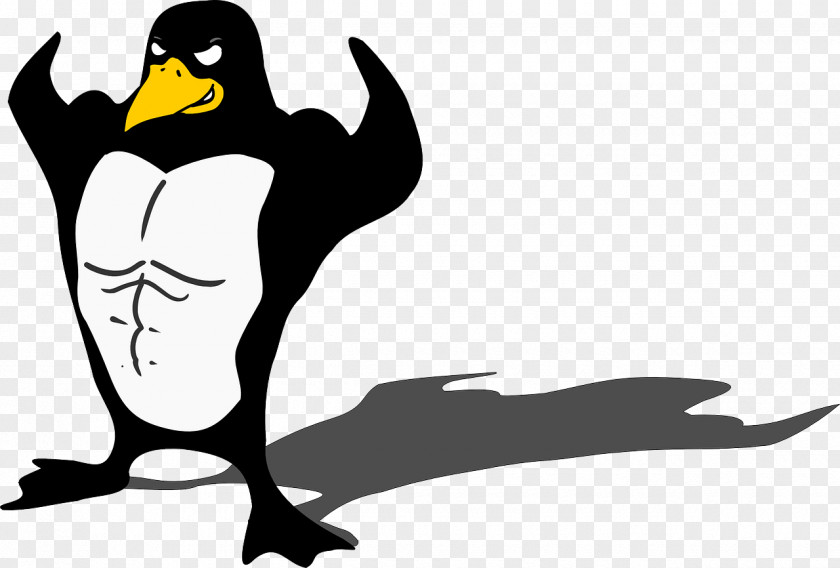 Penguins Penguin Bird Muscle Biceps Clip Art PNG