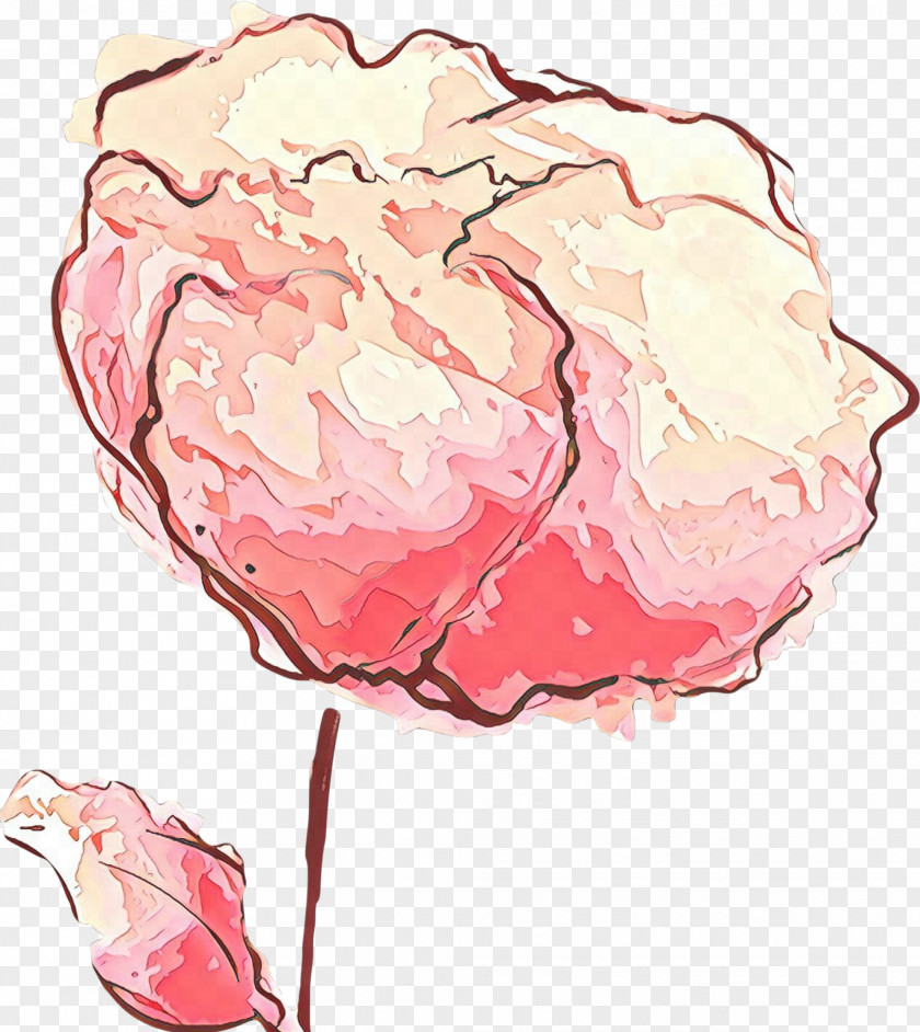 Pink Cut Flowers Flower Plant Common Peony PNG