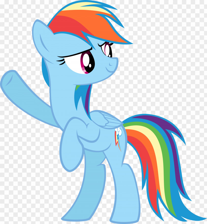 Rainbow Dash Pony Horse PNG