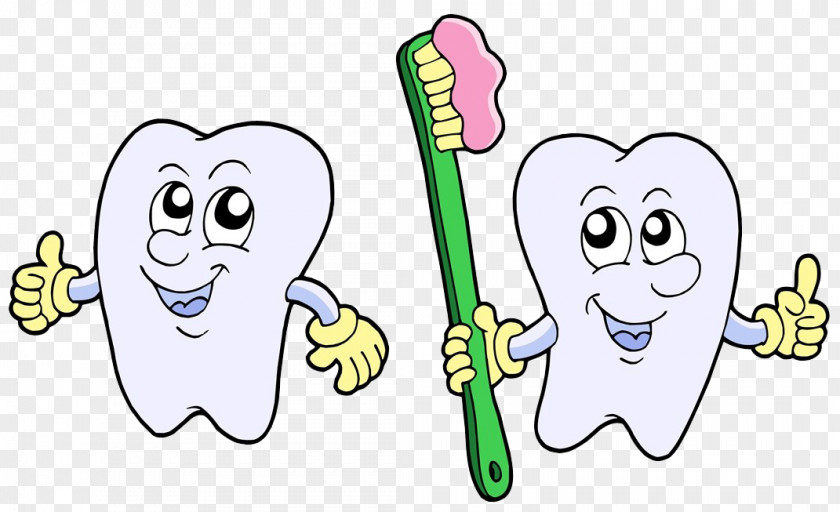 Toothbrush Cleaning Teeth Tooth Brushing Royalty-free Cartoon Illustration PNG