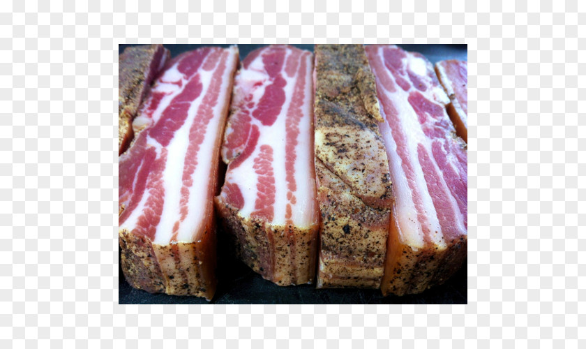 Bacon Capocollo Bayonne Ham Salumi PNG