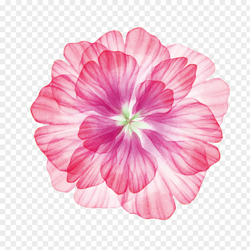 Hawaii Flower PNG