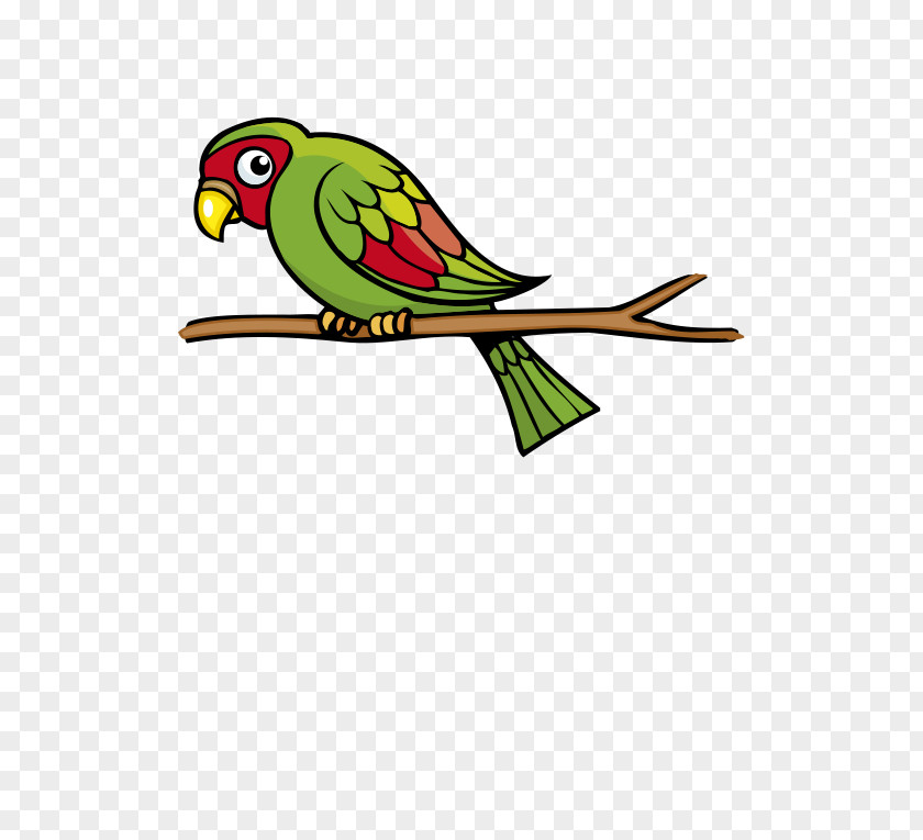 Red And Green Parrot Cartoon Budgerigar Bird Beak Macaw PNG