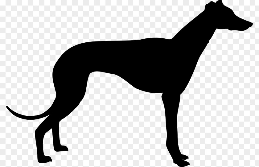 Silhouette Italian Greyhound Whippet Lines Clip Art PNG