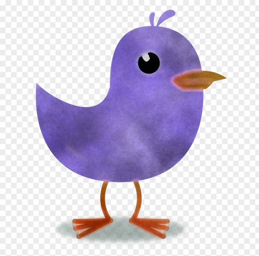 Violet Beak Purple Bird PNG