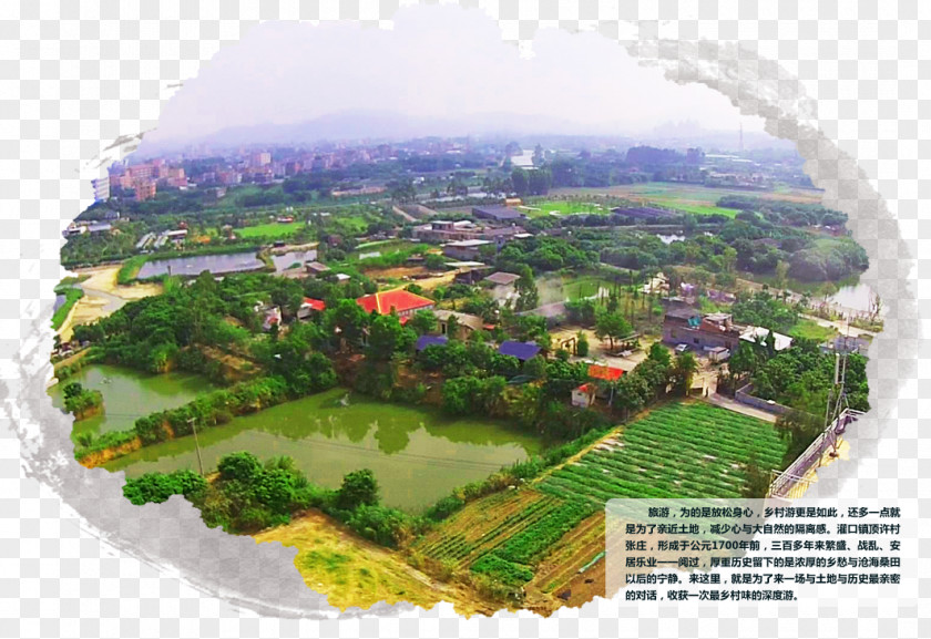 Huang Urban Design Hill Station Water Resources Tree Bird's-eye View PNG