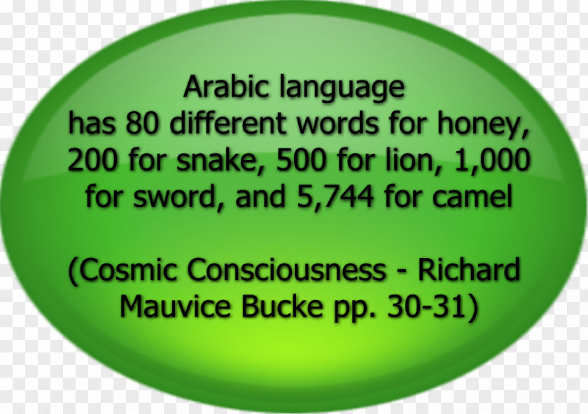 Islamic Language Quran Arabic Hadith Word PNG
