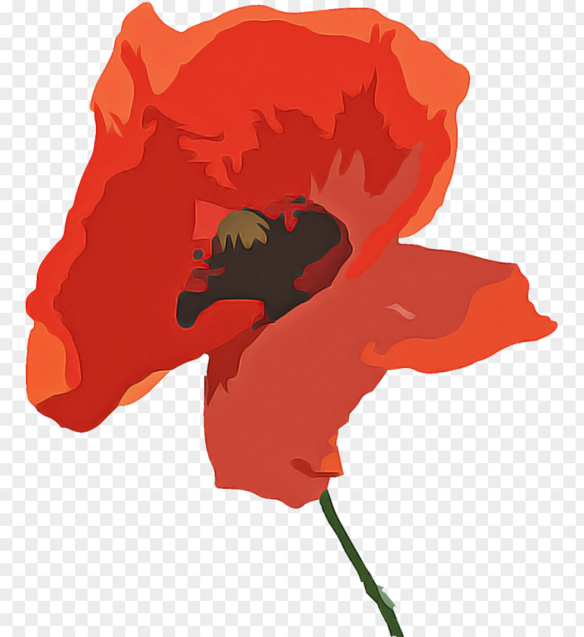 Poppy Corn Orange PNG