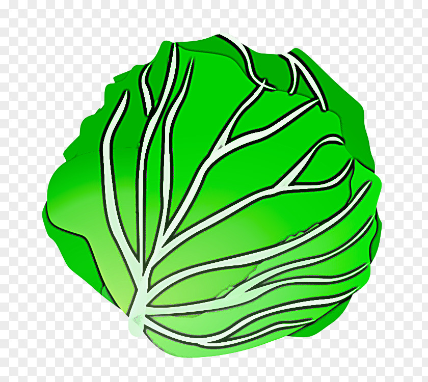 Green Leaf Cabbage Vegetable PNG
