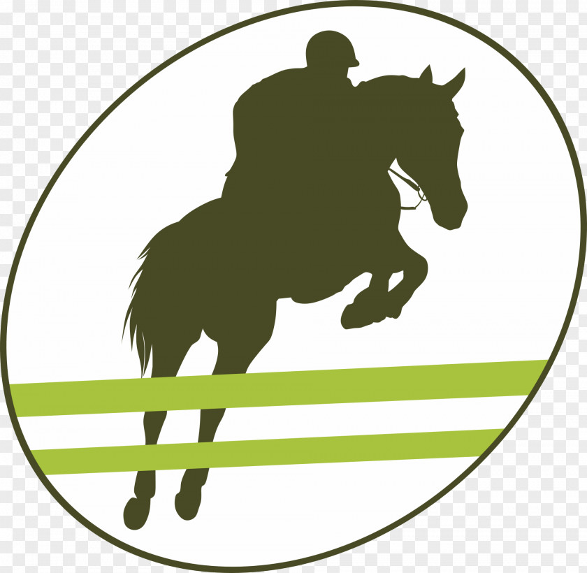 Horse Racing Equestrian Clip Art PNG