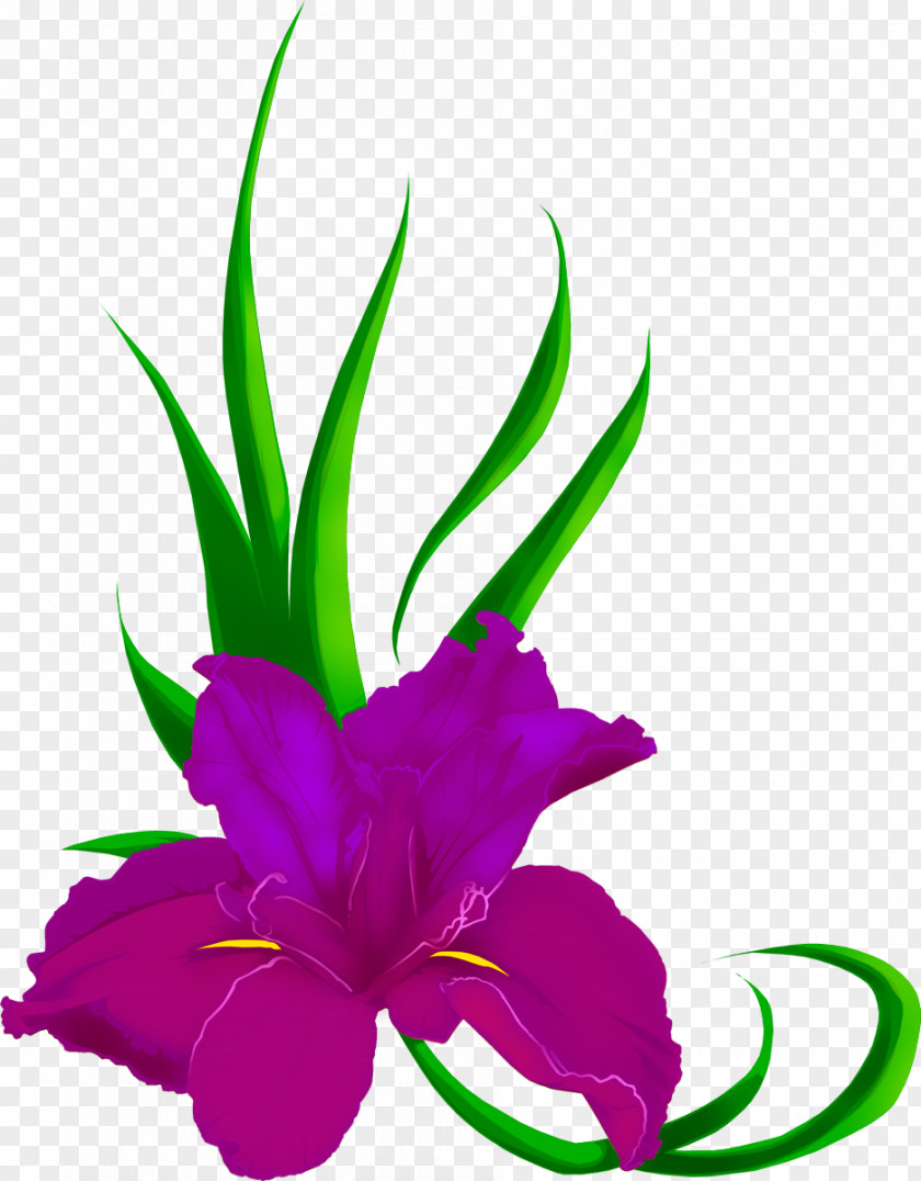 Iris Flower Tattoo BA Clip Art PNG