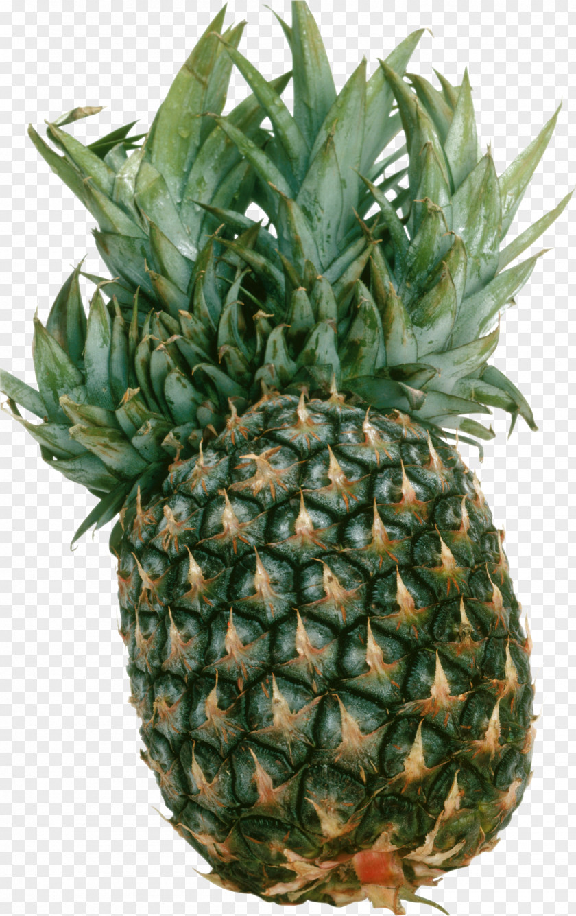 Pineapple Fruit Clip Art PNG