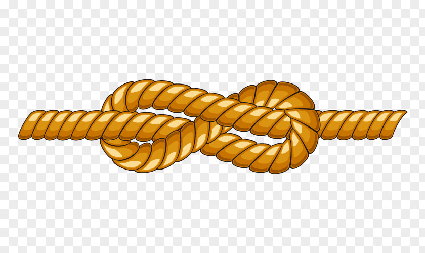 Rope Transparent Knot. PNG