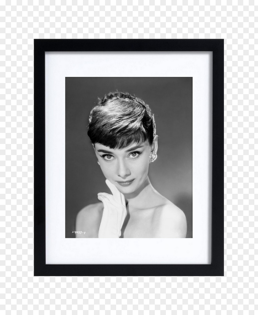 Audrey Hepburn Picture Frames Rectangle Forehead Square PNG