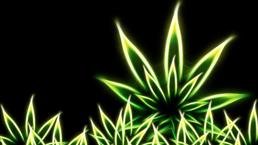 Cannabis Smoking 420 Day Wallpaper PNG