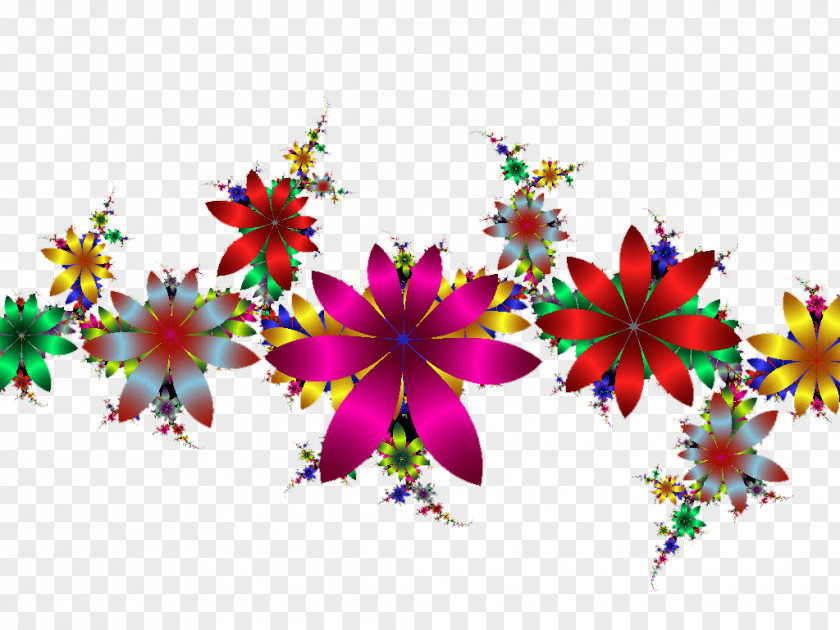 Colorful Flower Desktop Wallpaper Petal PNG