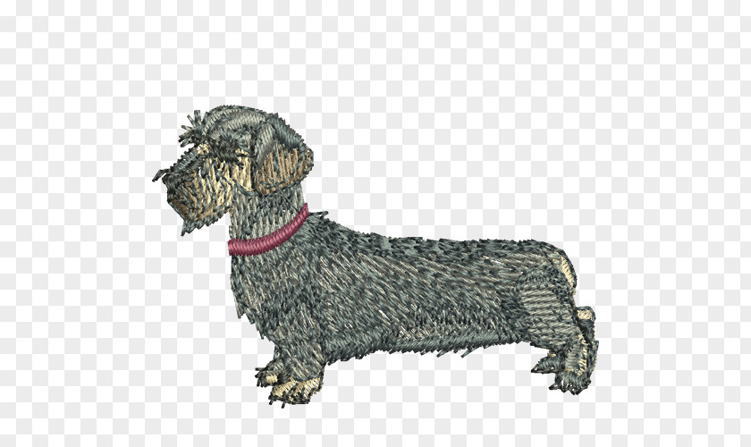 Dachshund Cesky Terrier Dog Breed Razas Nativas Vulnerables PNG