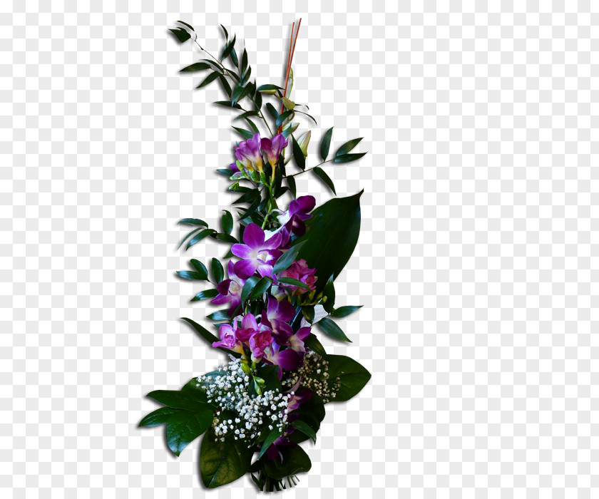 Flower Floral Design Cut Flowers PhotoFiltre PNG