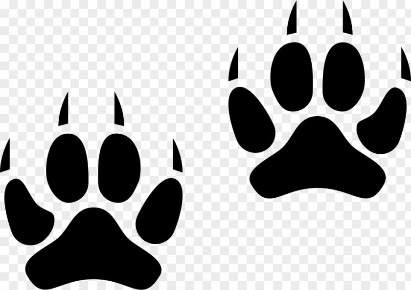 Paw Bengal Cat Animal Track Labrador Retriever Clip Art PNG