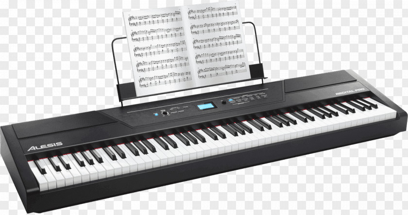 Recital Digital Piano Keyboard Action Alesis PNG