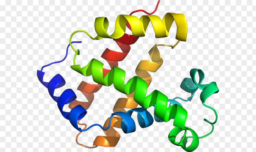 1o1o Relative Dating Absolute Stratigraphy Fossil PNG