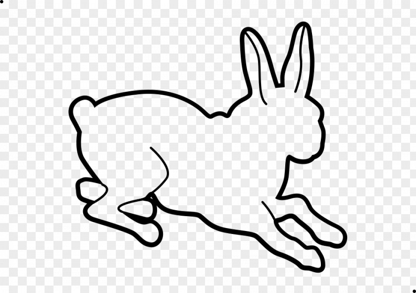 Domestic Rabbit Hare Wildlife Clip Art PNG