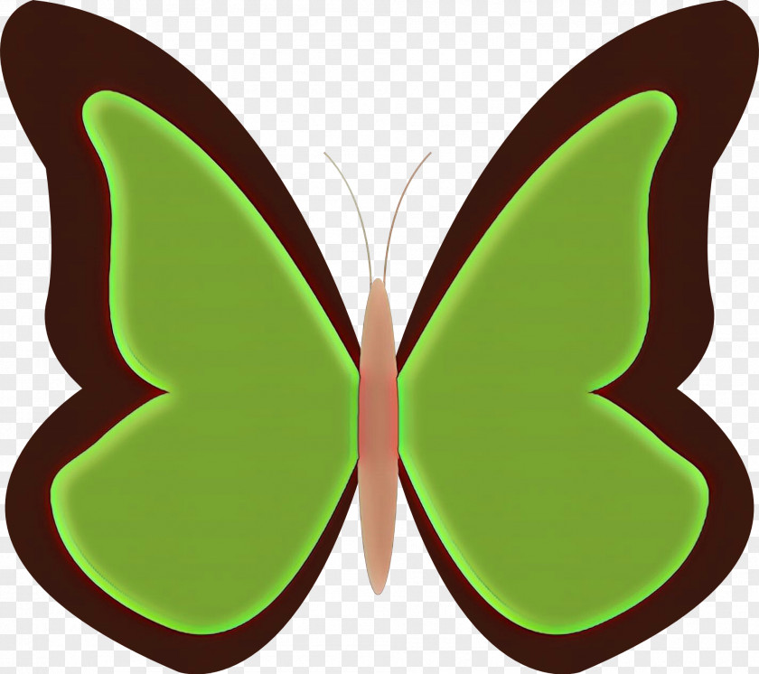 Green Butterfly Insect Moths And Butterflies Wing PNG