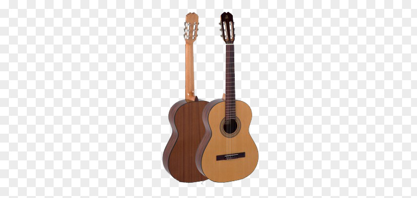 Guitar Classical Spain Fingerboard Acoustic PNG
