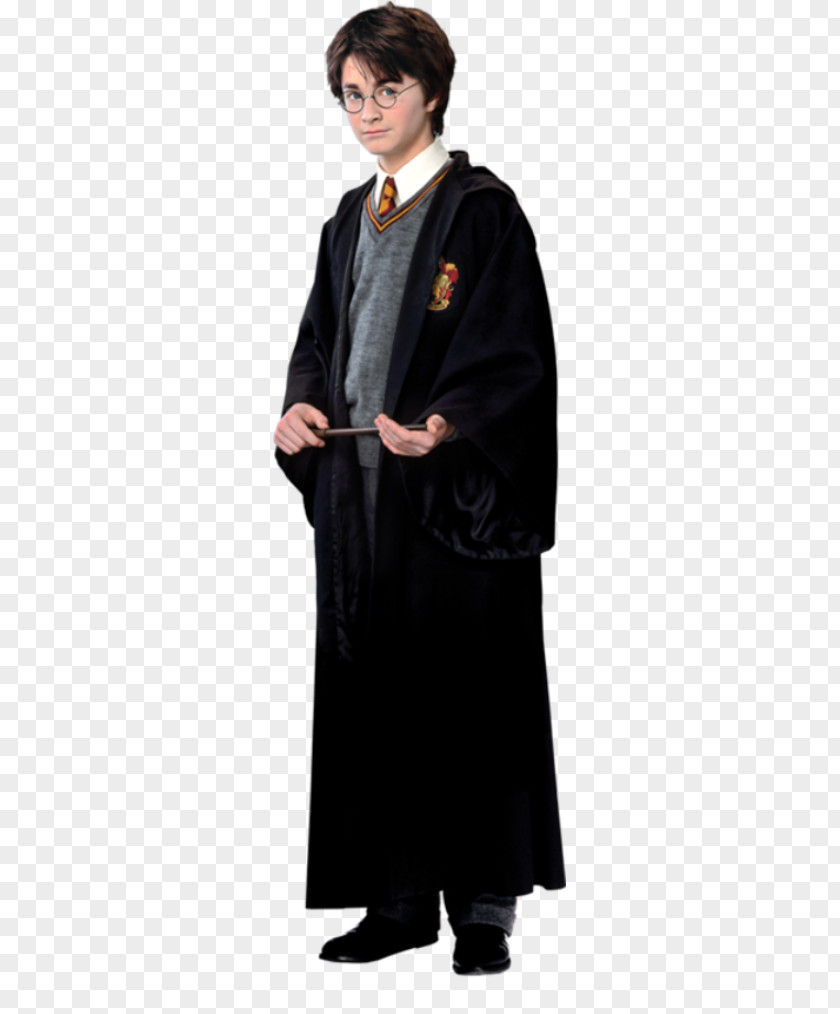 Harry Potter Image The Wizarding World Of Frozen Luna Lovegood Character PNG