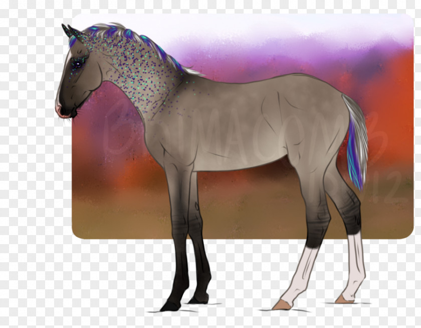 Mustang Foal Mane Mare Stallion PNG