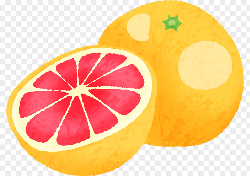 Orange PNG