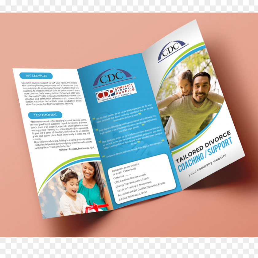 Professional Flyer Advertising Brochure Brand Font PNG