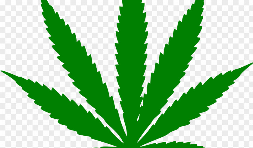 Cannabis Hash, Marihuana & Hemp Museum Medical 420 Day Smoking PNG