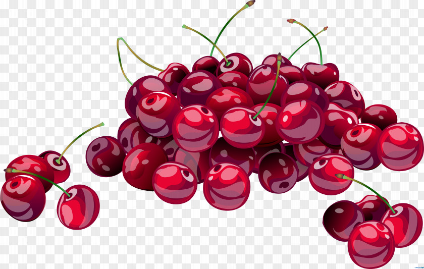 Cherry Cherries Jubilee Clip Art PNG
