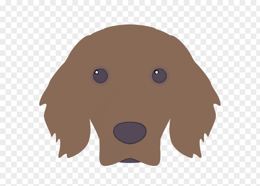 Dog Cocker Spaniel Nose Sporting Group PNG