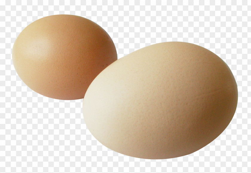 Egg Brown PNG