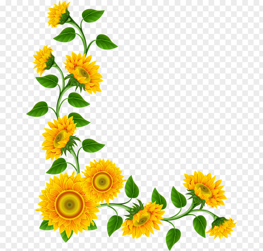 Floral Corner Common Sunflower Clip Art PNG