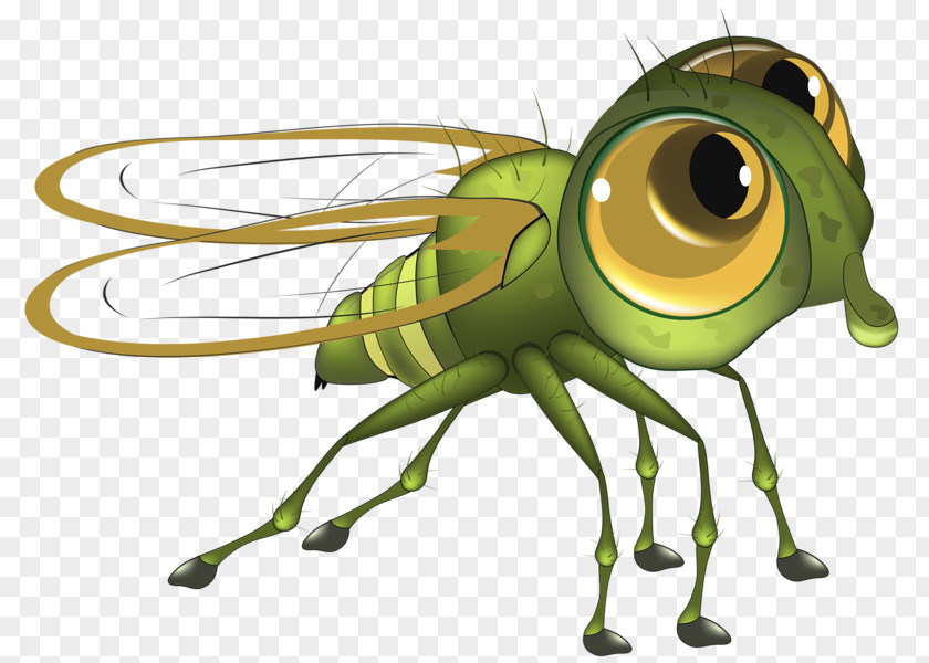 Fly Honey Bee PNG
