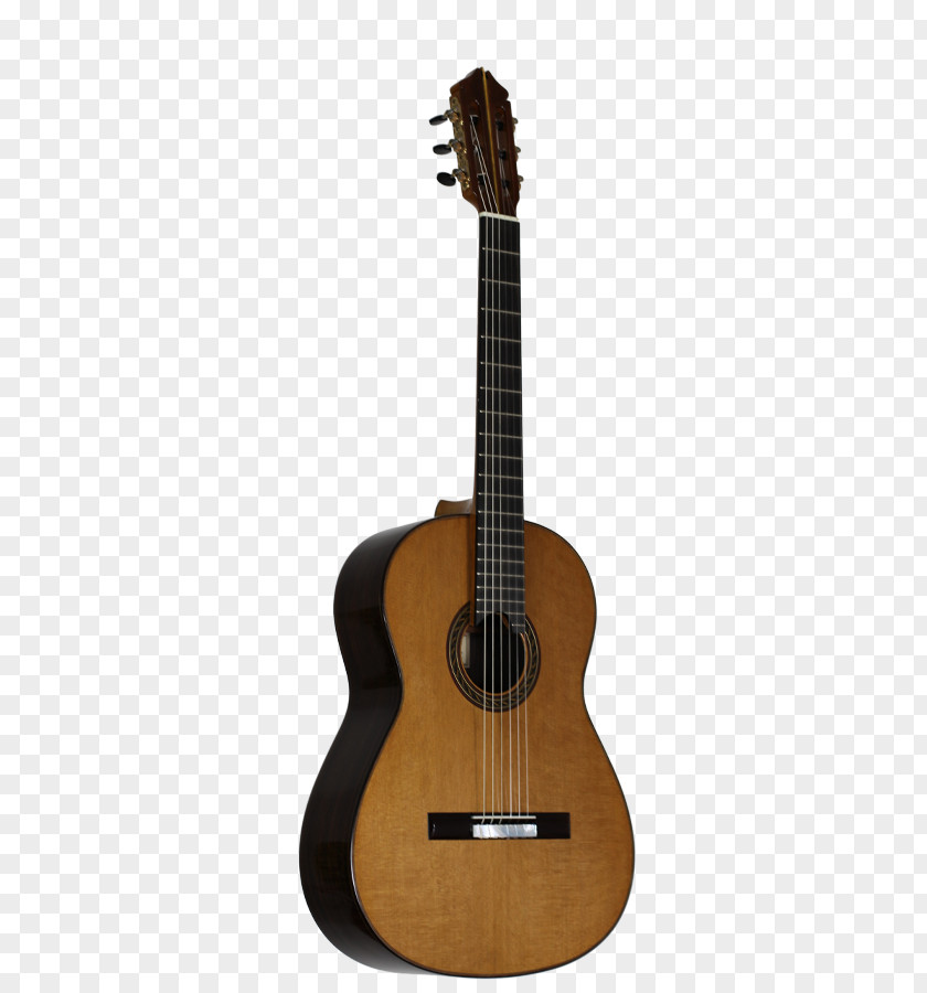 Hill Top Acoustic Guitar Musical Instruments Pasillo Classical PNG