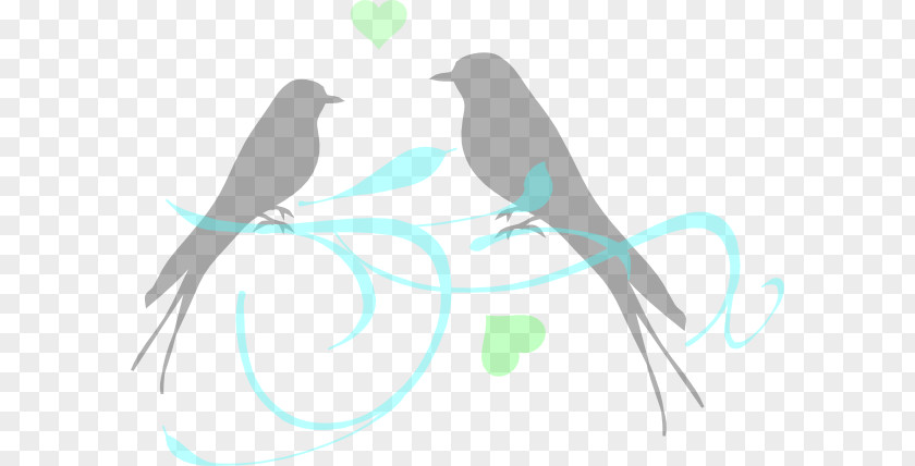 Kiss Bird Love Clip Art PNG