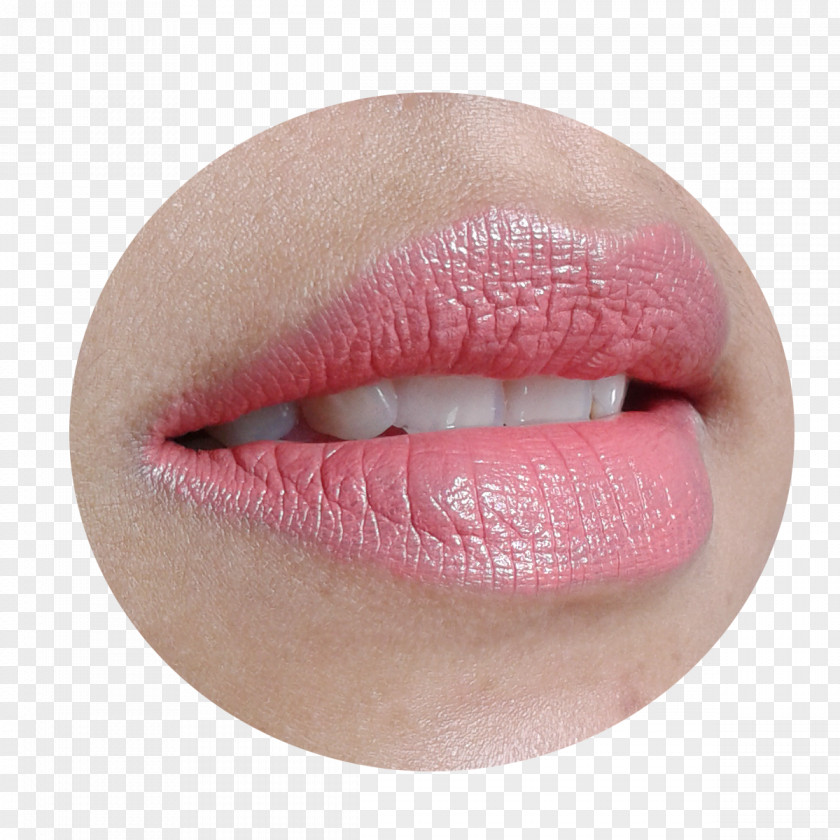 Lipstick Lip Balm Color Gloss PNG